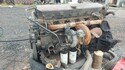 Двигатель 500380415 - Iveco Eurostar