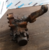 ГУР - Mercedes Benz 2044 4х2 (2044) (A6464600200) - c18211